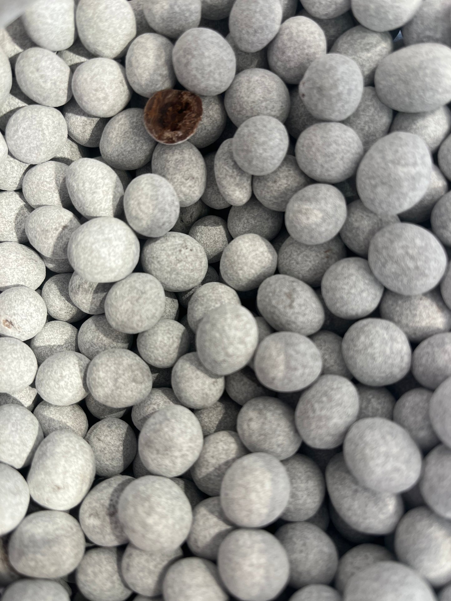 Geröstete Kaffeebohnen | Vollmilch