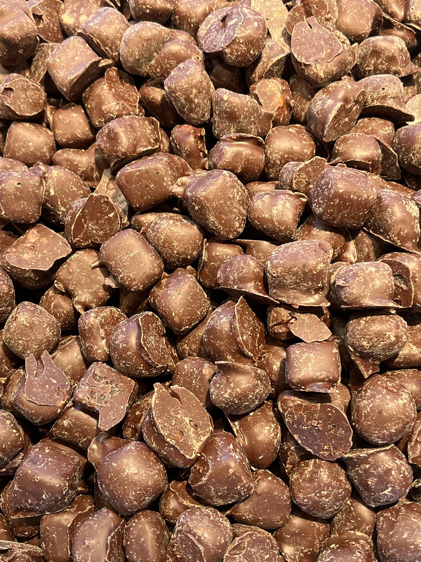 Ingwer in Schokolade | Zartbitter